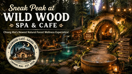 Sneak Peak at Wild Wood Spa & Cafe Newest Natural Forest Wellness Experience in Chiang Mai Thailand