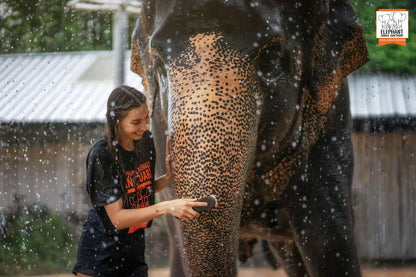 Phuket: Jungle Elephant Sanctuary Feeding & Shower Tour