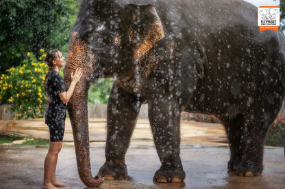 Phuket: Jungle Elephant Sanctuary Feeding & Shower Tour