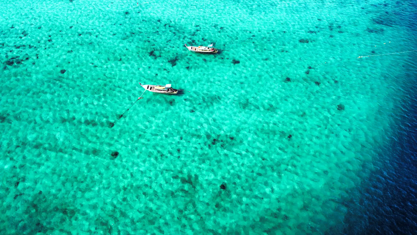 Phuket: Maya Bay, Phi Phi, & Bamboo Island + Snorkeling & Lunch Buffet