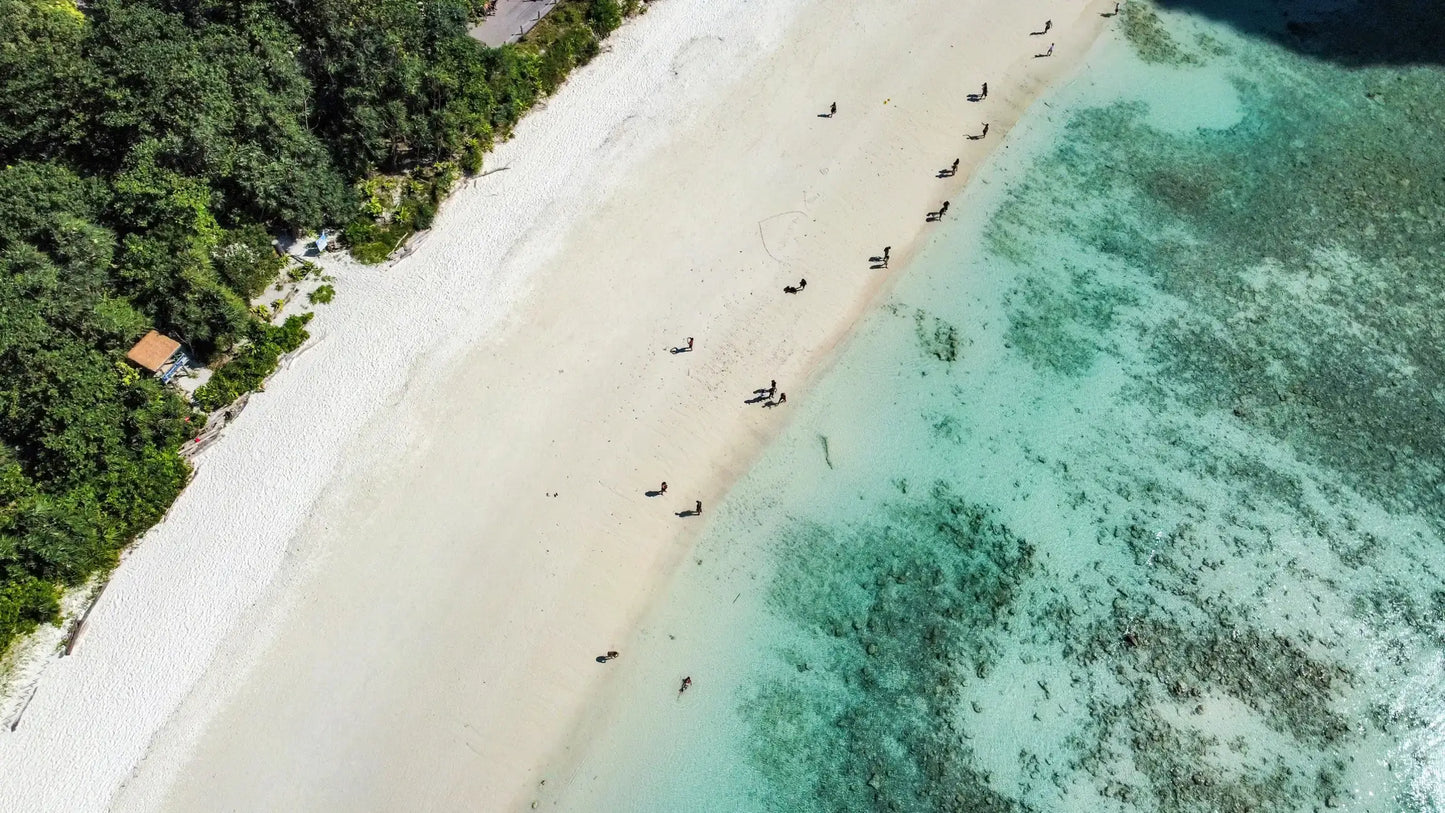 Phuket: Maya Bay, Phi Phi, & Bamboo Island + Snorkeling & Lunch Buffet