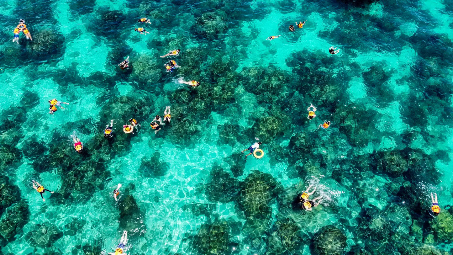 Phuket: Maya Bay, Phi Phi, & Bamboo Island + Snorkeling & Lunch Buffet