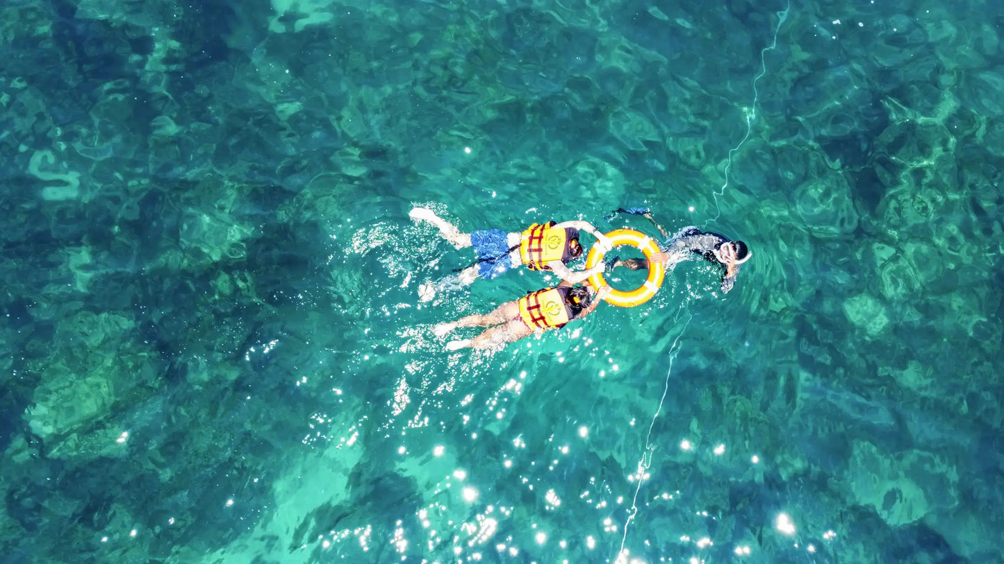 Phuket: Maya Bay, Phi Phi, & Bamboo Island + Snorkeling & Lunch Buffet