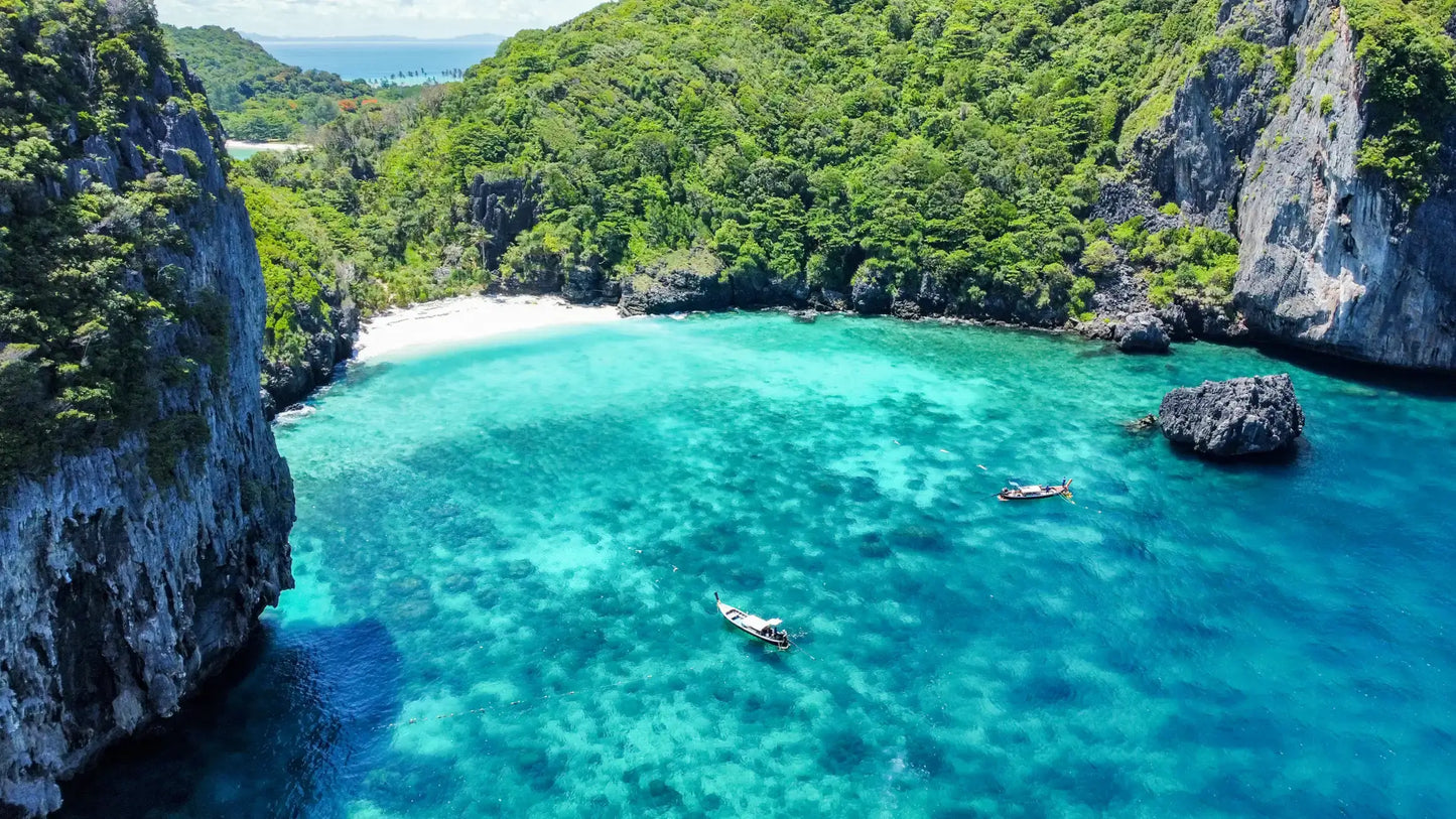 Phuket: Maya Bay, Phi Phi, & Bamboo Island + Snorkeling & Lunch Buffet